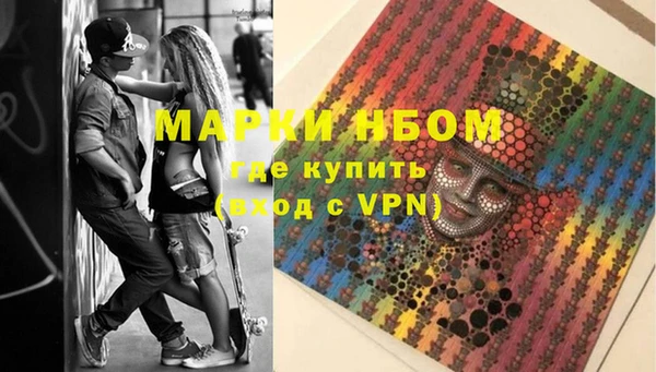 гидропоника Новозыбков