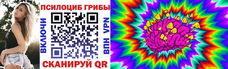 блэк спрут ТОР  Кондрово  Псилоцибиновые грибы мицелий  продажа наркотиков 